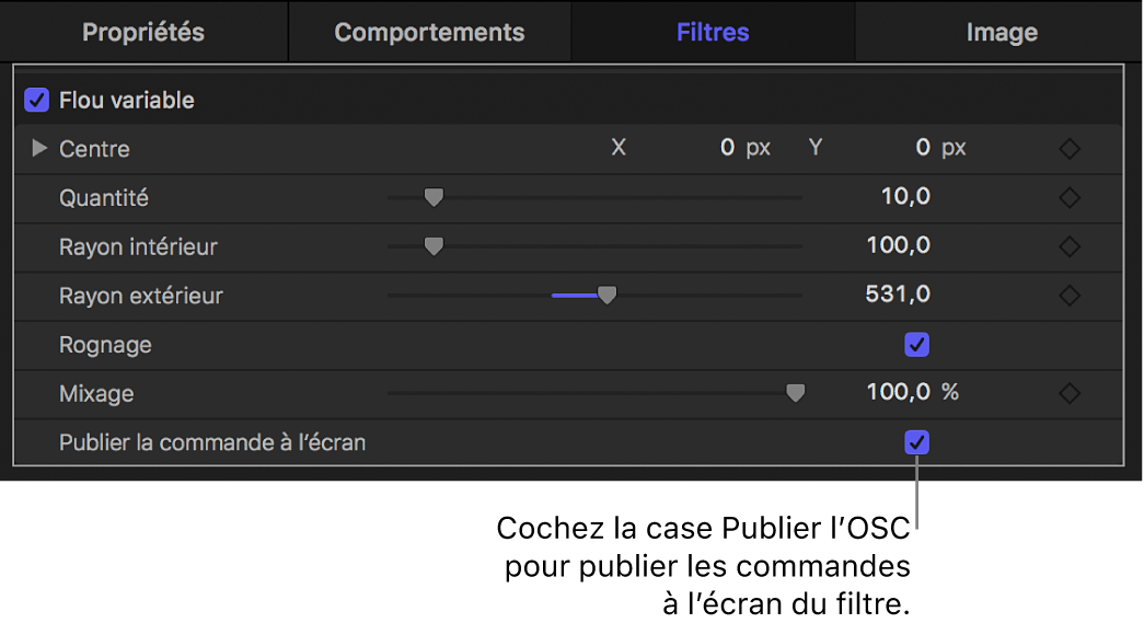 Inspecteur de filtres affichant la case « Publier les commandes à l’écran »