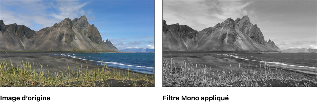 Canevas affichant l’effet du filtre Mono