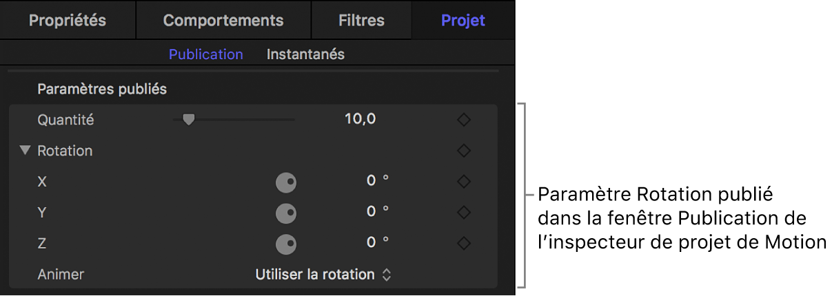 Paramètre Rotation, publié dans la fenêtre Publication de l’inspecteur du projet