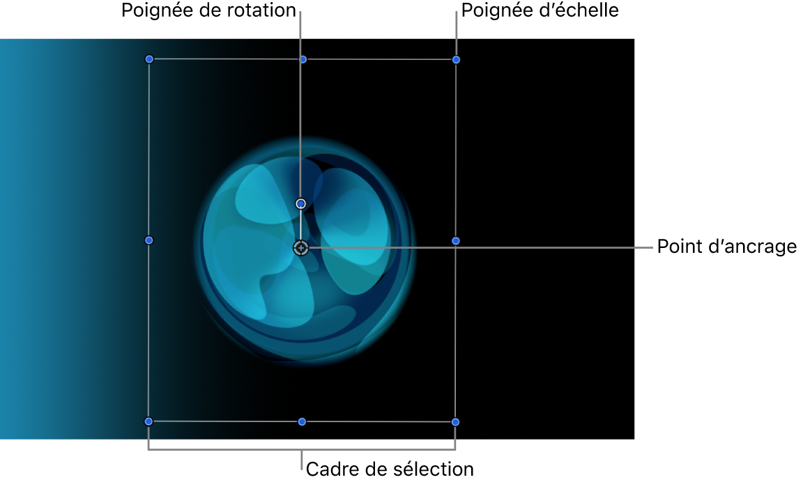 Canevas affichant les commandes Sélectionner/Transformer standard