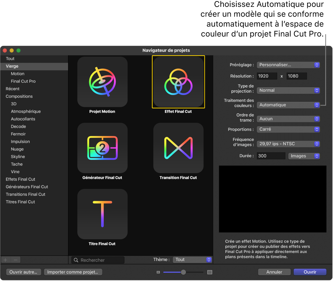 Navigateur de projets montrant l’icône Effet Final Cut et le Traitement des couleurs défini sur Automatique