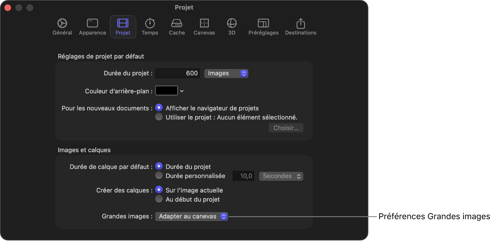 Fenêtre Réglages affichant une fenêtre de projet avec le menu local Grandes images réglé sur Adapter au canevas