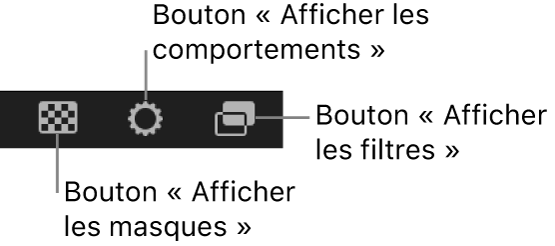 Boutons d’options d’affichage de la timeline