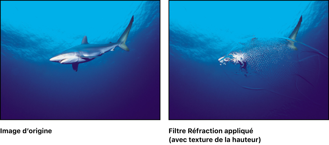 Canevas affichant l’effet du filtre Réfraction