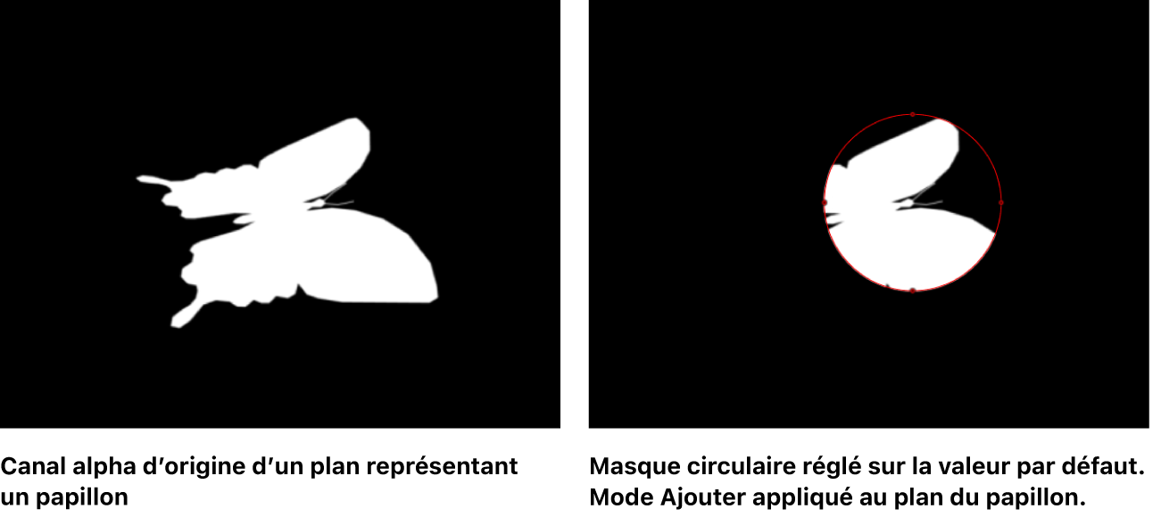 Canevas affichant un masque ajouté à un canal alpha
