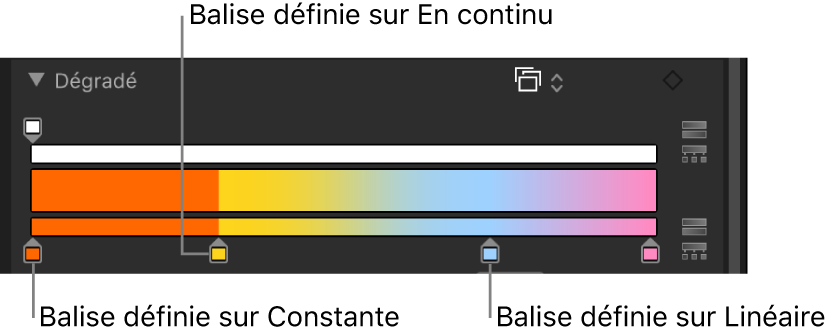 Éditeur de dégradé affichant les balises de couleur, distribuées d’après la méthode d’interpolation Constante