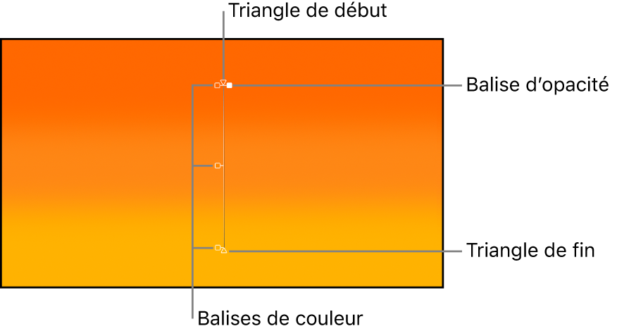 Commandes à l’écran de dégradé affichant un triangle de départ, une balise de couleur, une balise d’opacité et un triangle d’arrivée