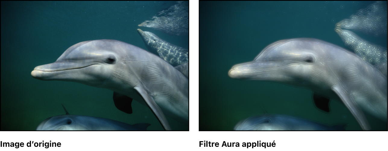 Canevas affichant l’effet du filtre Aura