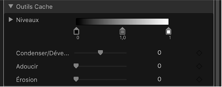 Commandes des outils Cache du filtre « Incrustateur de fond vert »