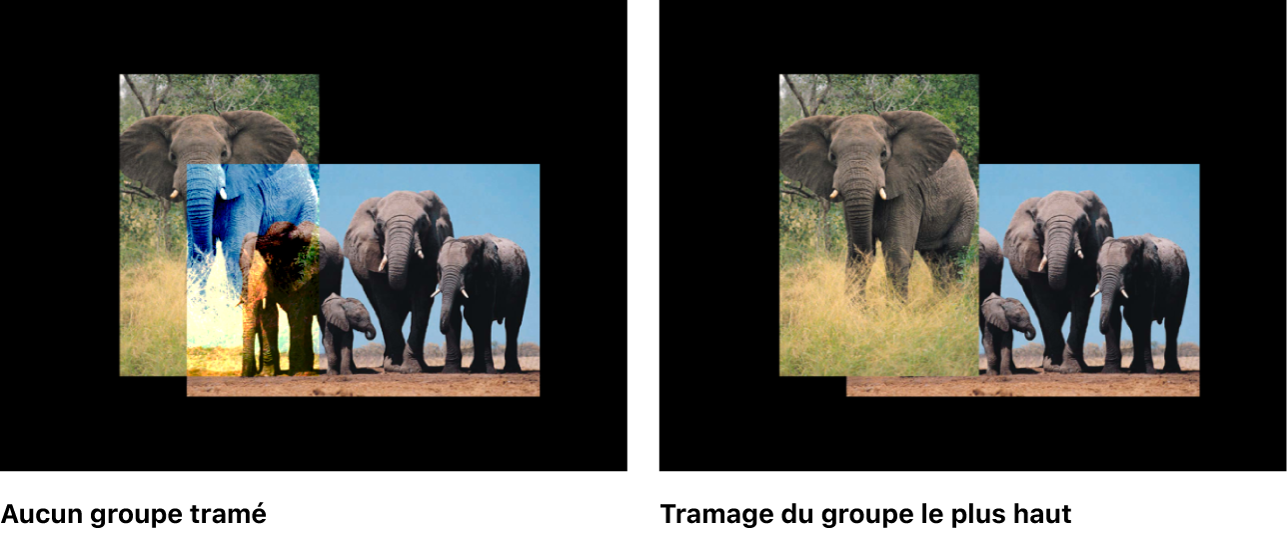Canevas affichant les groupes 2D avant et après le tramage