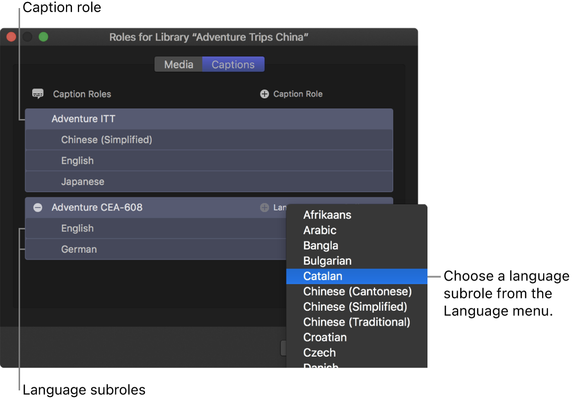 The Captions pane of the role editor showing two closed caption roles with language subroles below, and a menu for choosing the language
