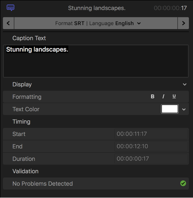The Closed Caption inspector showing closed caption text formatting controls for the SRT format