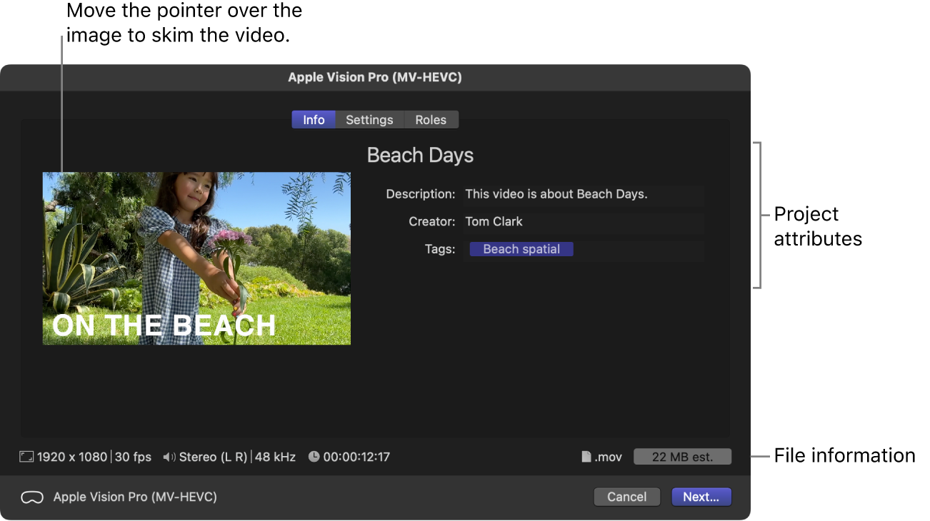 The Info pane of the Share window for the Apple Vision Pro (MV-HEVC) destination