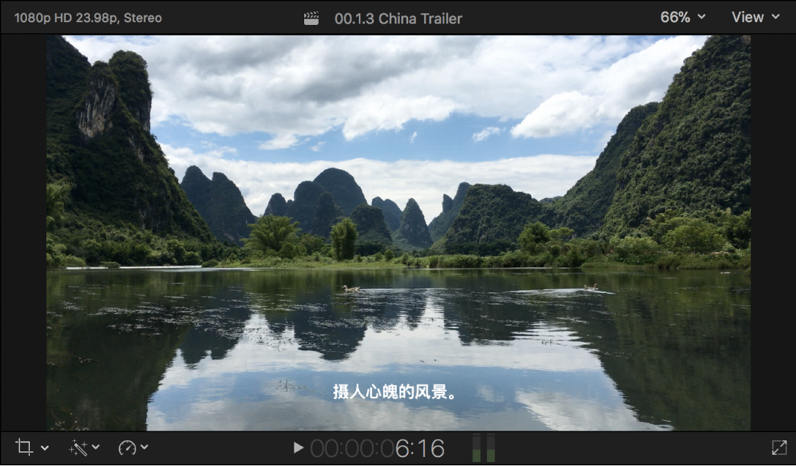 The viewer showing a video image with a superimposed closed caption