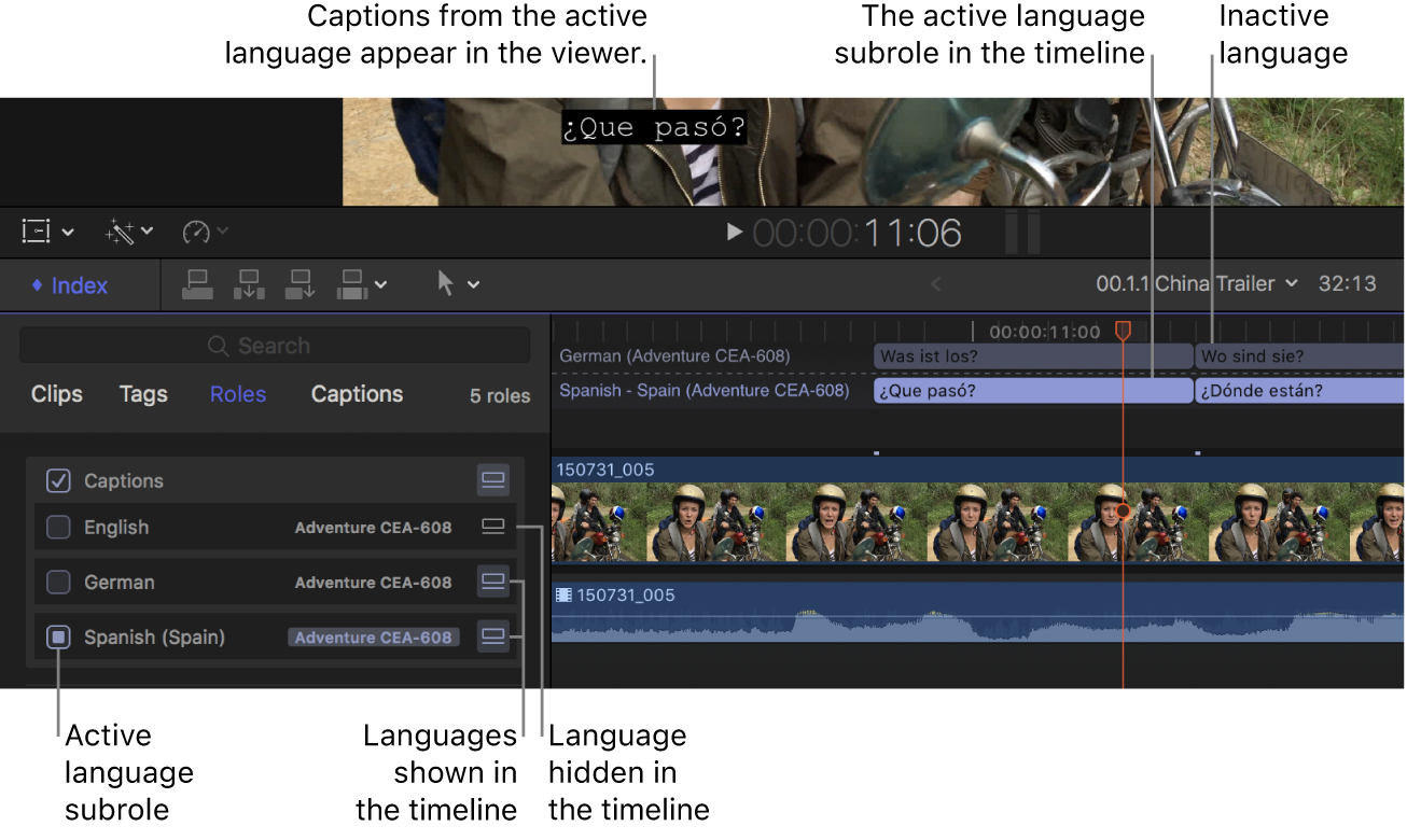 The viewer, timeline, and timeline index, showing the active closed caption language as well as inactive and hidden languages