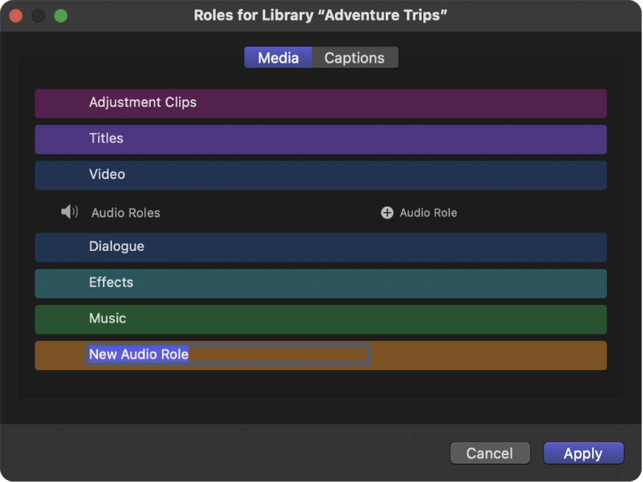 A newly created audio role shown in the role editor