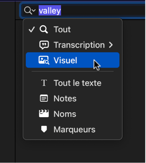 Menu local du champ de recherche affichant les catégories de recherche : Tout, Transcription, Visuel, Tout le texte, Notes, Noms et Marqueurs