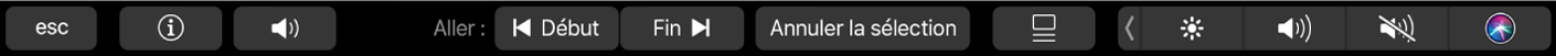 Touch Bar affichant les commandes pour le navigateur lorsqu’un élément est sélectionné