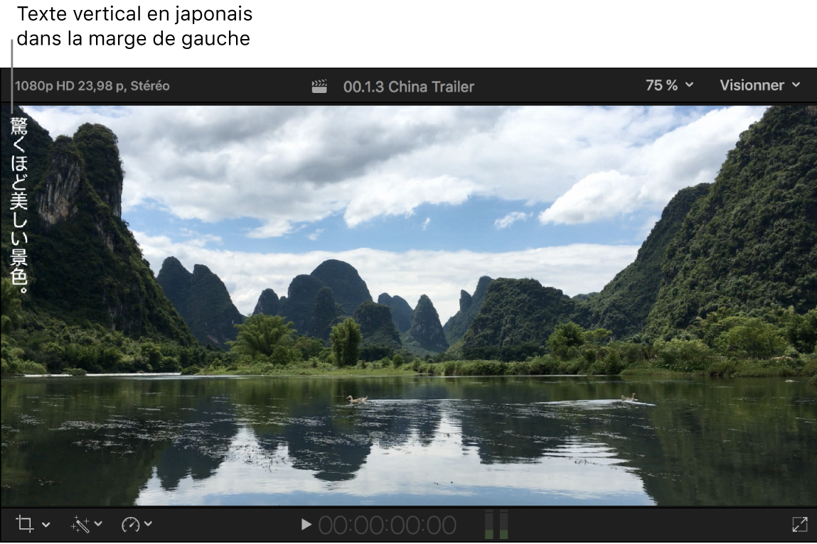 Visualiseur affichant du texte de sous-titre codé vertical en japonais