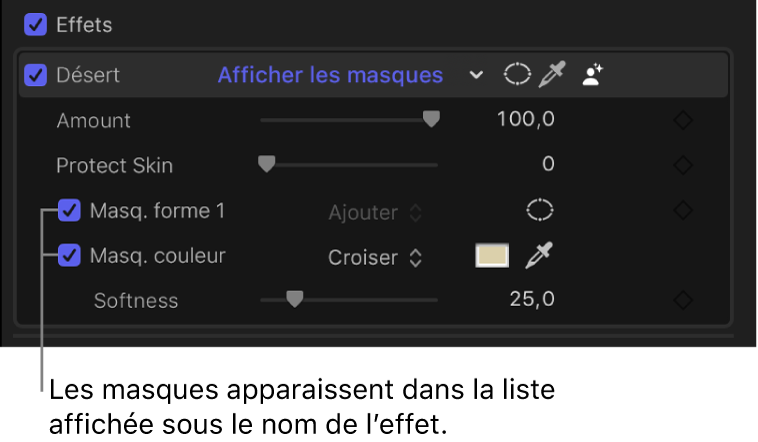 Section Effets de l’inspecteur vidéo avec un masque de forme et un masque de couleur ajoutés à un effet
