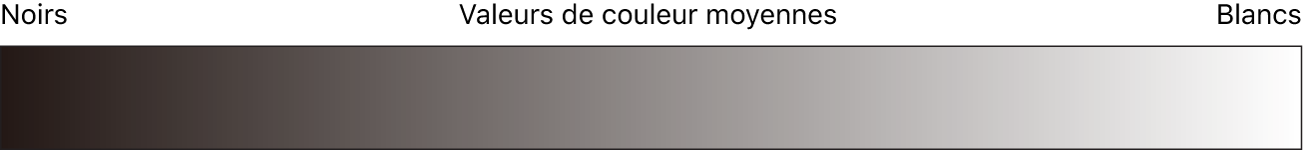 Diagramme affichant la plage de valeurs du noir au blanc