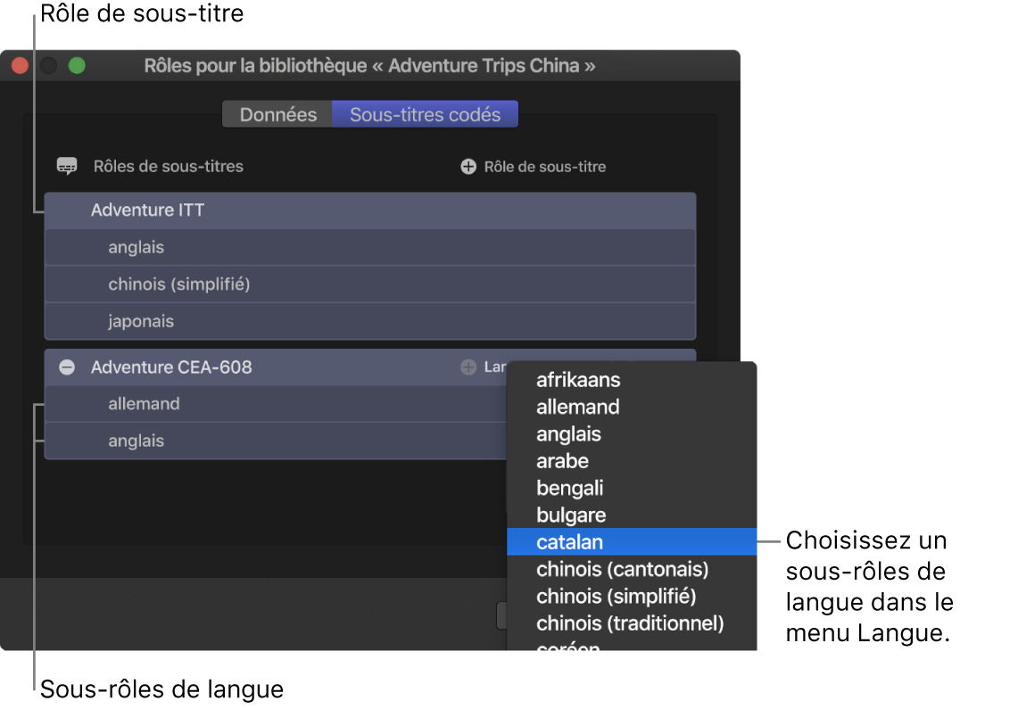 Fenêtre Sous-titres de l’éditeur de rôle affichant deux rôles de sous-titres codés avec les sous-rôles de langue en dessous, ainsi qu’un menu pour choisir la langue
