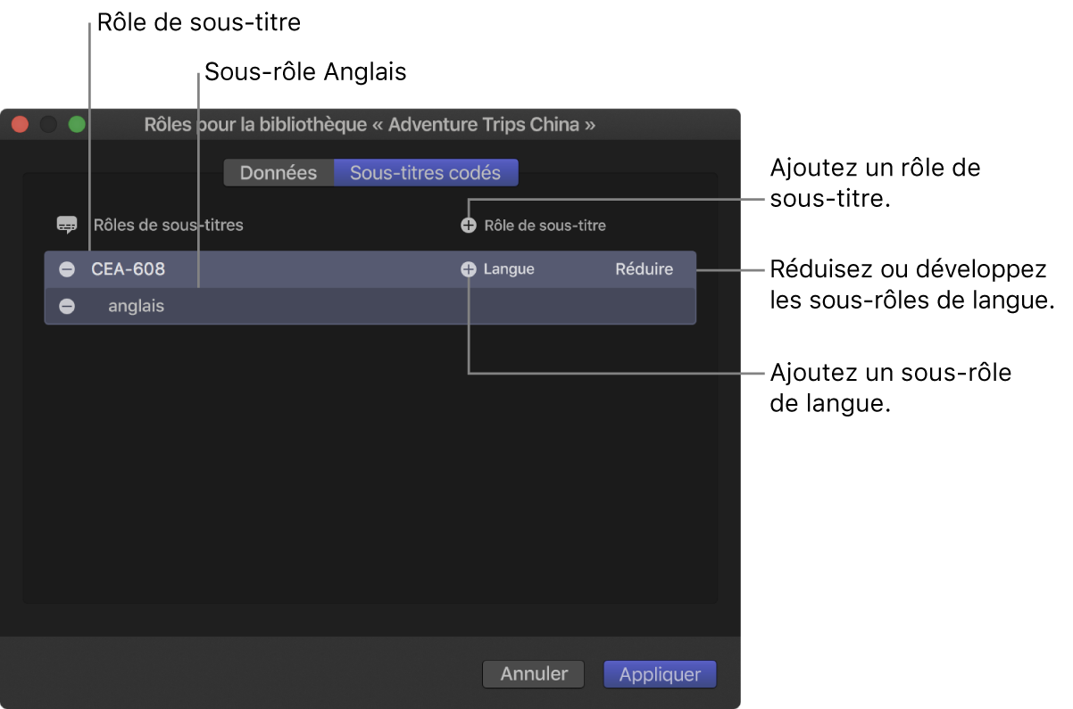 Fenêtre Sous-titres de l’éditeur de rôle affichant un rôle de sous-titre codé CEA-608 avec un sous-rôle Anglais