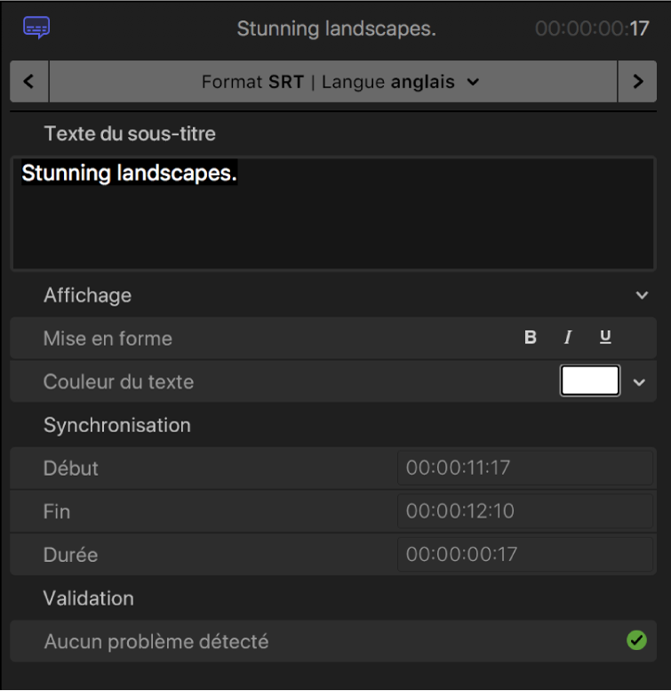 Inspecteur de sous-titres codés affichant les commandes de mise en forme du texte des sous-titres codés pour le format SRT