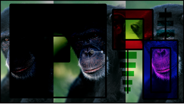 Les images de boîtes et de chimpanzé fusionnées à l’aide du mode de fusion Densité linéaire +