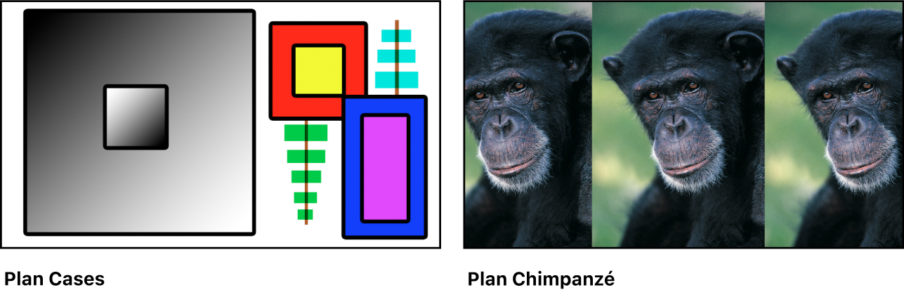 Deux images sources : une collection de boîtes de couleur et une photo de chimpanzé