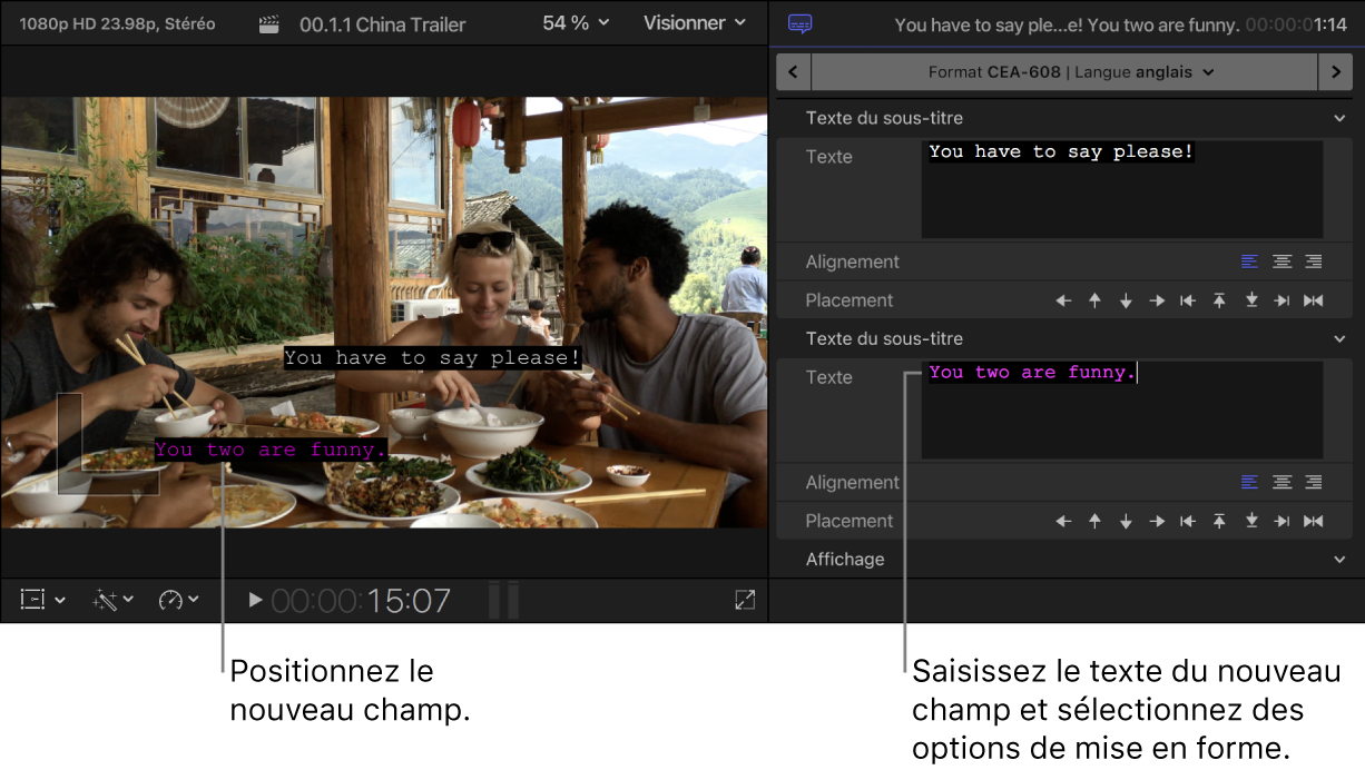 Visualiseur et inspecteur de sous-titres codés affichant un sous-titre codé avec deux champs de texte