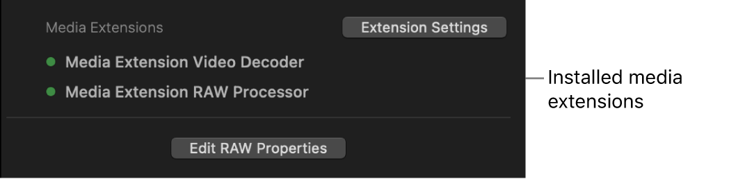 A seção Extensões de mídia do inspetor Informações, com pontos verdes aparecendo ao lado das extensões de mídia que estão sendo usadas para decodificar o clipe selecionado