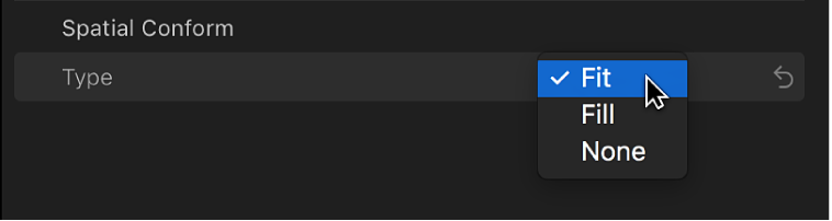 O menu pop-up Tipo na seção Adaptação Espacial do inspetor de Vídeo.