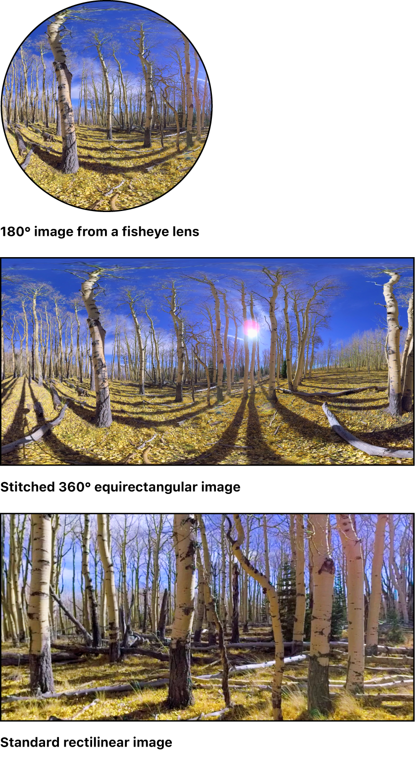 一张单个鱼眼图像、一张拼接的 360° 图像和一张标准的直线图像