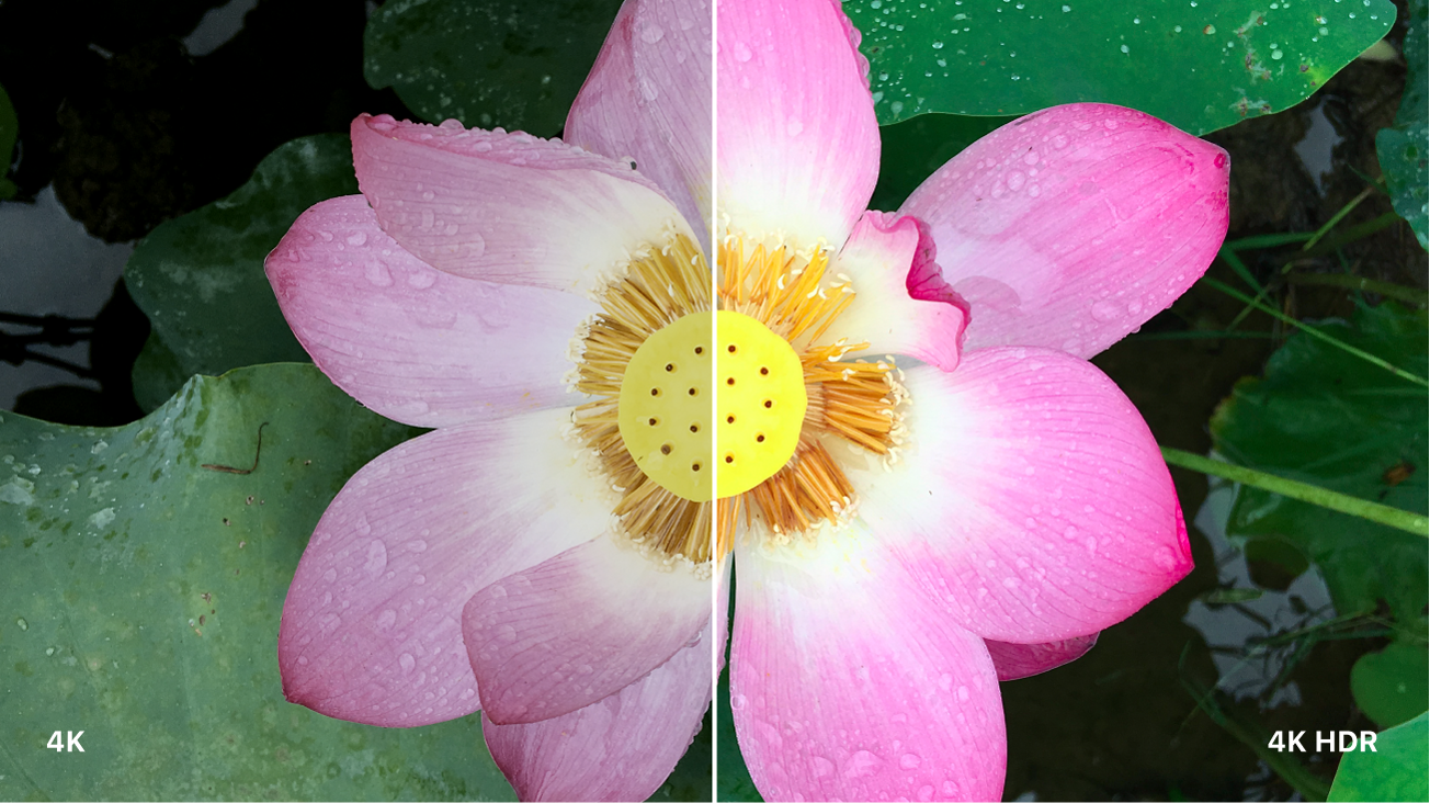 拆分屏幕图像,将标准 4K 和 4K HDR 进行对比