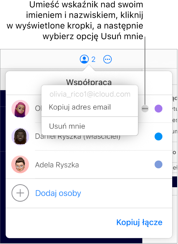 Otwarte menu Współpraca z klikniętym przyciskiem Więcej po prawej stronie pierwszego uczestnikiem oraz dostępna opcja Usuń mnie.