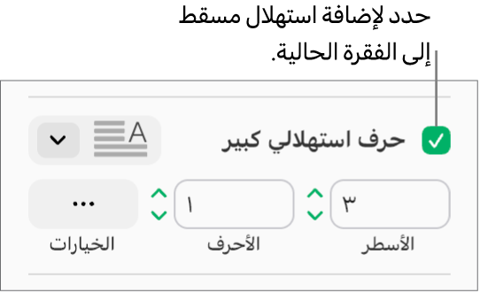 خانة اختيار الحرف الاستهلالي الكبير محددة، وتظهر قائمة منبثقة على يسارها؛ تظهر عناصر التحكم لإعداد ارتفاع السطر وعدد الأحرف والخيارات الأخرى أسفلها.