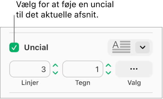Afkrydsningsfeltet Uncial er valgt, og der vises en lokalmenu til højre for det. Der vises funktioner til indstilling af linjehøjde, antal tegn og andre muligheder under det.