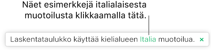 Ilmoitus siitä, että laskentataulukossa käytetään italialaista muotoilua.