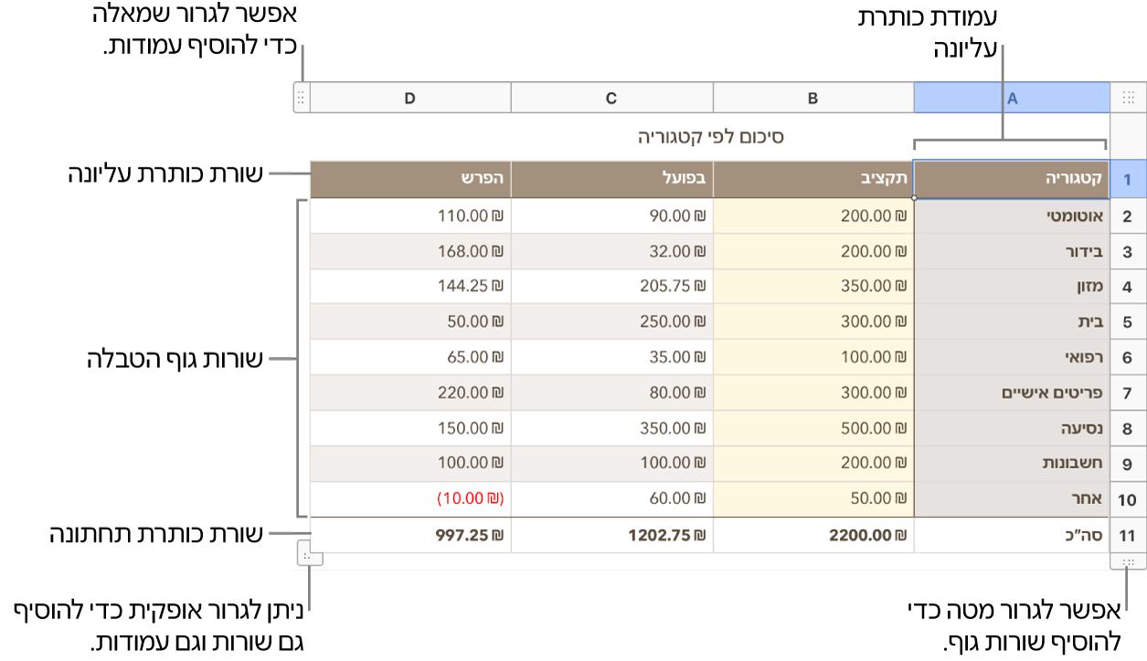 טבלה שמציגה שורות ועמודות של כותרת, גוף מלל ושל כותרת תחתונה ושבה ניתן להוסיף או למחוק שורות או עמודות.