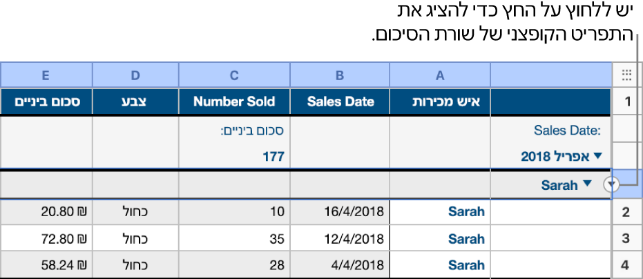 טבלה עם היררכיה של שתי רמות; השורה של הקטגוריה הנמוכה יותר נבחרת, וחץ שפונה מטה מופיע על הגבול שלה.