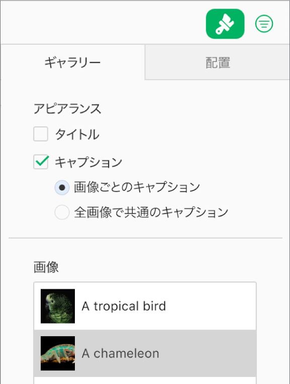 「フォーマット」サイドバーの「ギャラリー」タブ。「キャプション」チェックボックスが選択されており、「画像ごとのキャプション」と「全画像で共通のキャプション」のオプションがあります。コントロールの下には、各画像のサムネールが表示され、その右側にキャプションが表示されます。