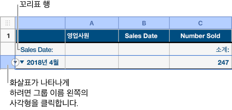 분류된 표에서 요약 행이 선택되고 아래쪽 화살표가 테두리에 나타납니다. 요약 행 위의 레이블 행에는 그룹 이름 위의 카테고리 이름이 표시되고, 세 번째 열에는 함수 이름(소계)이 표시됩니다.