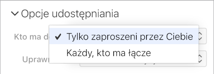 Menu podręczne Kto ma dostęp w opcjach udostępniania.