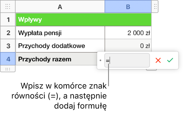 Otwarty edytor formuł ze znakiem = i bez wprowadzonej formuły.