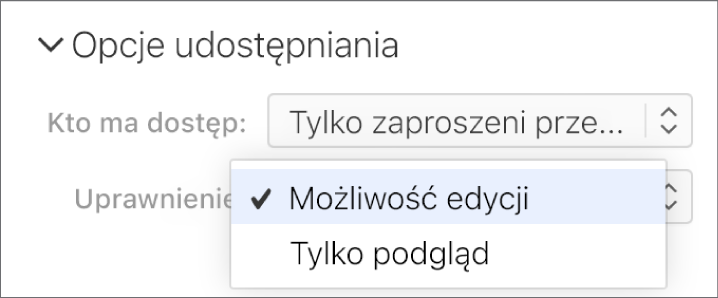 Otwarte menu podręczne Uprawnienia w sekcji Opcje udostępniania, w którym znajdują się opcje umożliwiające osobom wprowadzanie zmian w arkuszu lub tylko jego wyświetlanie.