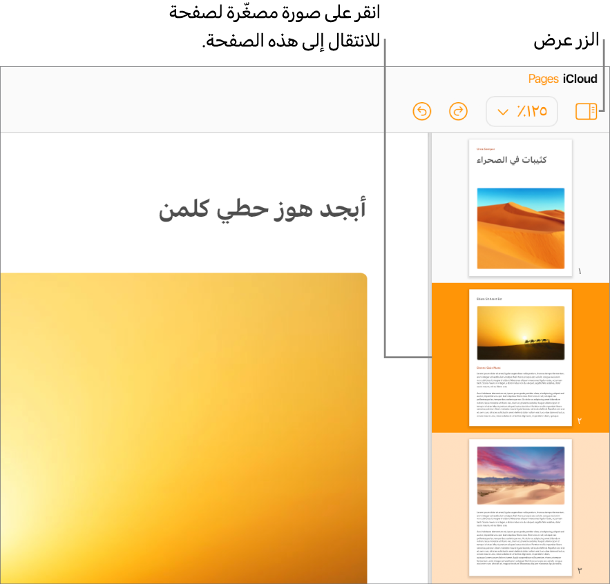 طريقة عرض الصور المصغرة للصفحات على الجانب الأيمن من الشاشة مع تحديد الصفحة. زر العرض موجود في شريط الأدوات أعلى الصور المصغرة.