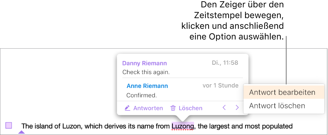 Ein Kommentar mit einer Antwort und dem Mauszeiger auf dem Zeitstempel der Antwort. Ein Einblendmenü zeigt zwei Optionen: „Antwort bearbeiten“ und „Antwort löschen“.