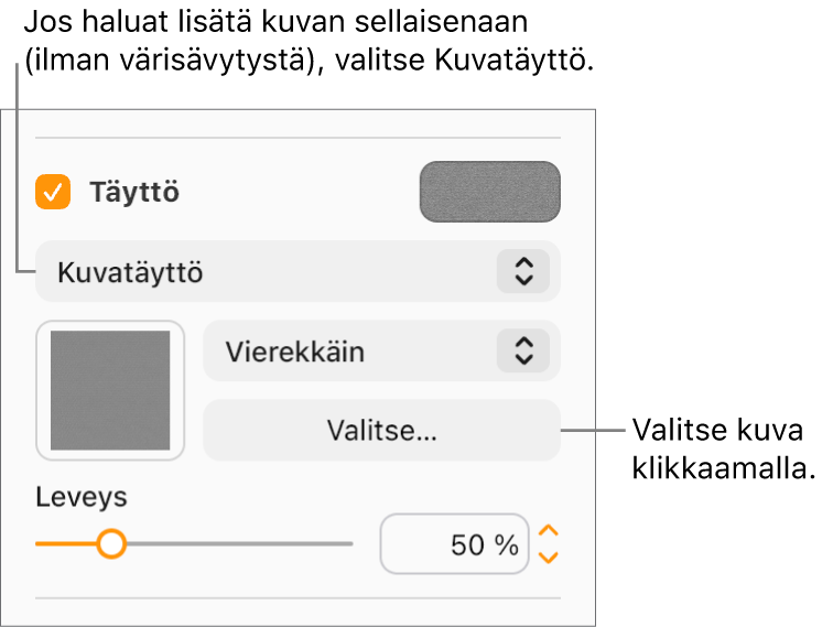 Sivupalkissa on valittuna Täyttö-valintaneliö, jonka alla olevassa ponnahdusvalikossa on valittuna Kuvatäyttö. Toiminnot kuvan valitsemista, sen objektin täyttötavan valintaa ja kuvan skaalaamista varten ovat ponnahdusvalikon alla. Väritäytön esikatselu näkyy neliössä (kun kuva on valittu).