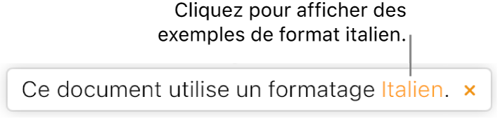 Message indiquant « Le format de ce document est : italien ».